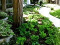 landscape-garden-maintenance-2238